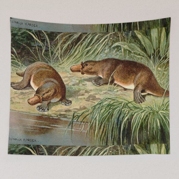Artikelvorschau, duck billed platypus schnabeltier illustration entworfen und verkauft von Vintage Designs +.
