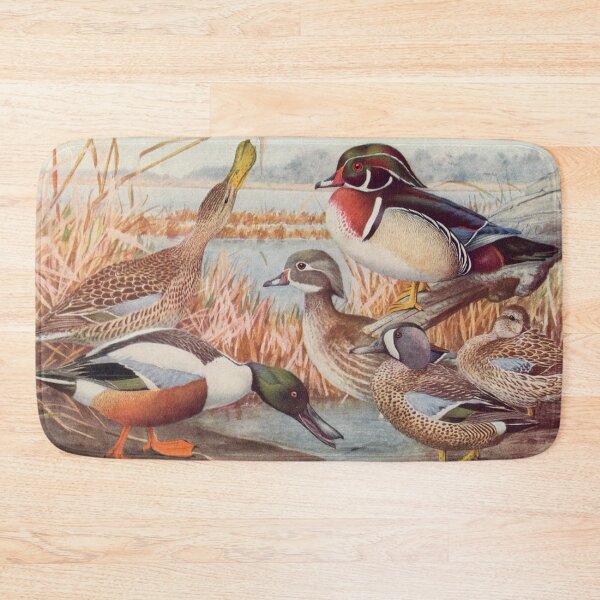Item preview, Shoveler and mud  Duck illustration designed and sold by Vintage Designs +.