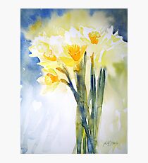 Dreaming of Spring Photographic Print