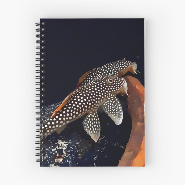 Artikelvorschau, L014 Sonnenschein Pleco entworfen und verkauft von GFishy.