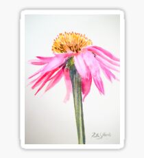 Coneflower Sticker