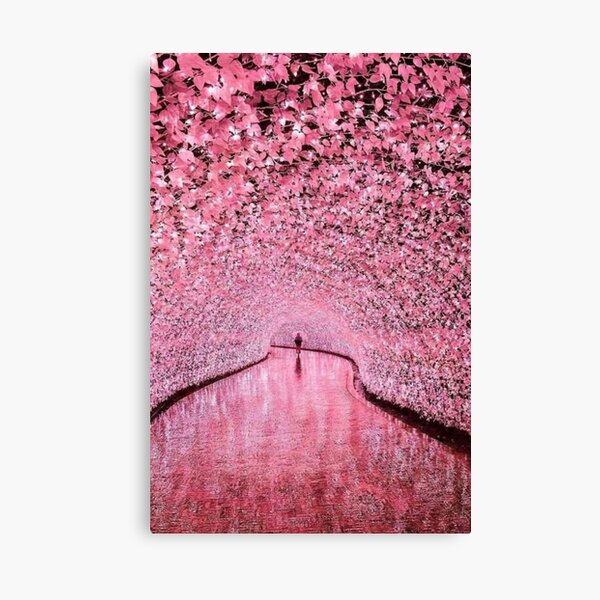 Japan pink cherry blossoms road Canvas Print