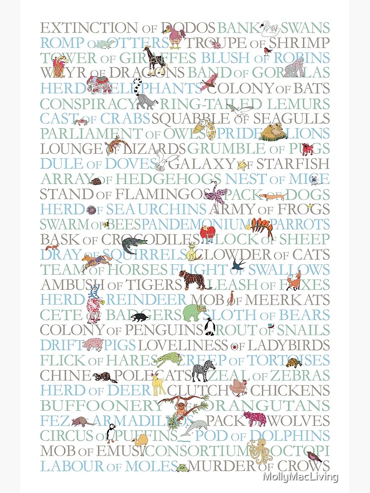 animal collective nouns art