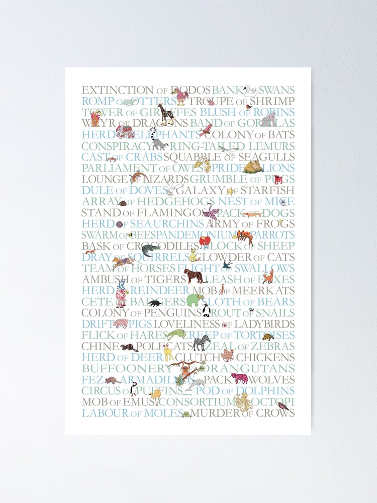collective nouns for animal groups poster