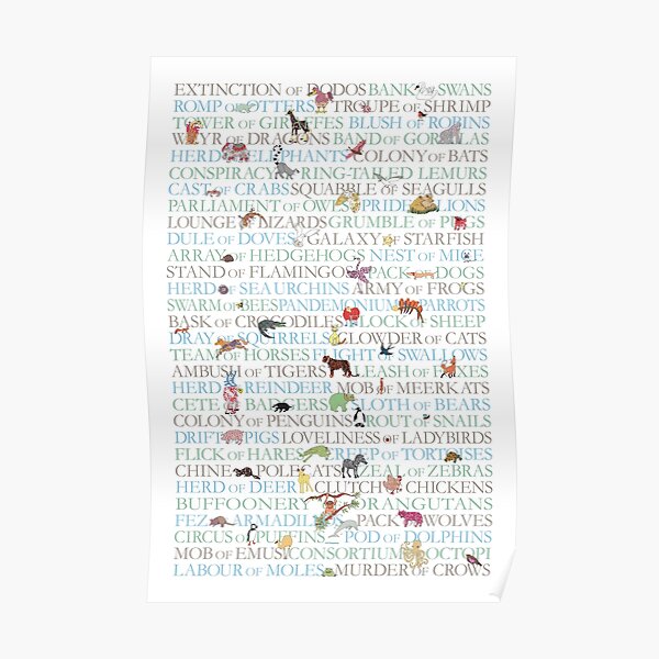 Animal Collective Nouns Poster