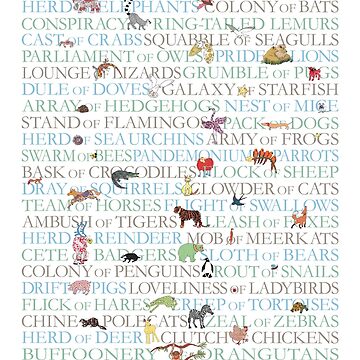 animal collective nouns art