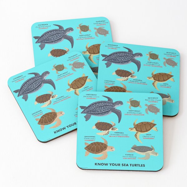 Item preview, Know Your Sea Turtles designed and sold by Peppermint Narwhal.