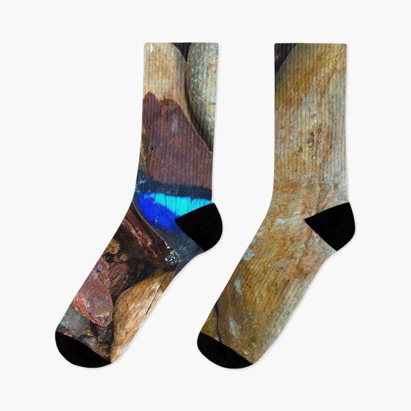 Artikelvorschau, Schöner blauer Schmetterling über den Steinen entworfen und verkauft von Sreepriya Jayesh.