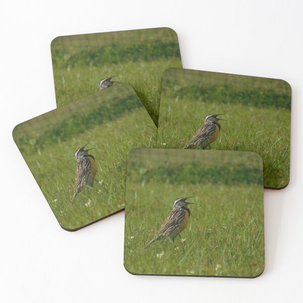 Item preview, Singing Meadowlark Photograph designed and sold by MNKee.
