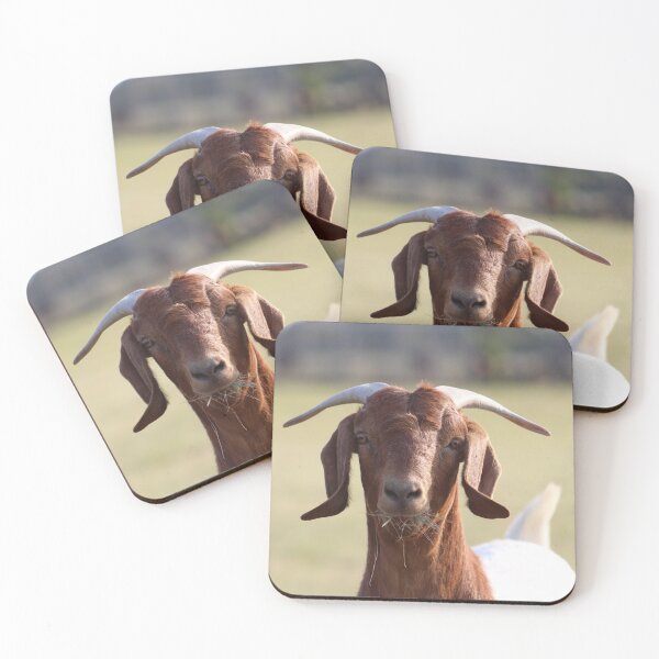 Item preview, Surprised Goat Photograph designed and sold by MNKee.