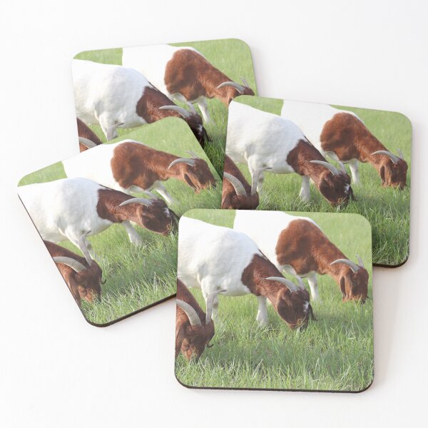 Item preview, Three of a Kind Goats Photograph designed and sold by MNKee.
