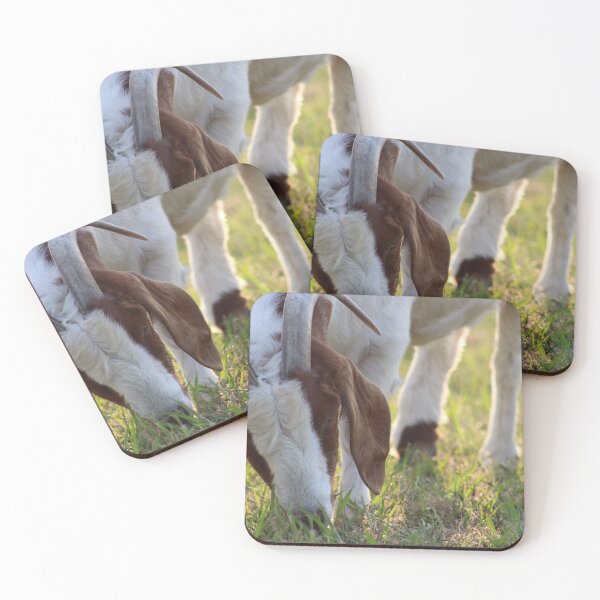 Item preview, Amber Beauty Goat Photograph designed and sold by MNKee.