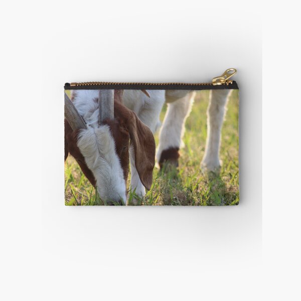 Item preview, Amber Beauty Goat Photograph designed and sold by MNKee.