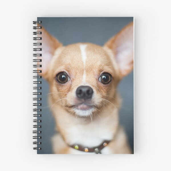 Item preview, Chihuahua Dog pets dogs designed and sold by Coolstuff4you71.