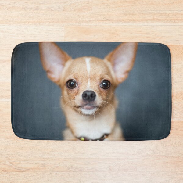 Item preview, Chihuahua Dog pets dogs designed and sold by Coolstuff4you71.