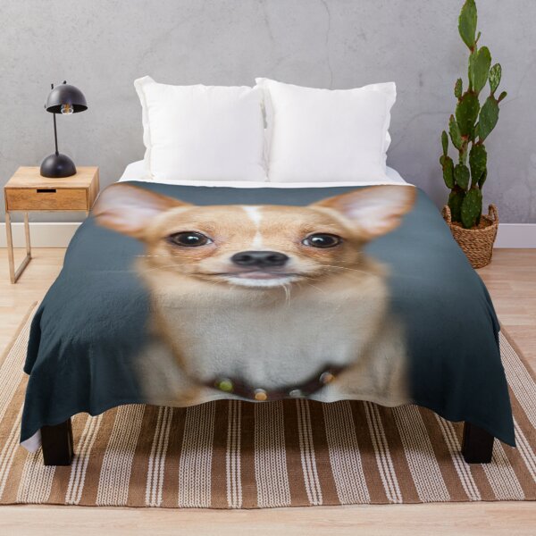 Item preview, Chihuahua Dog pets dogs designed and sold by Coolstuff4you71.