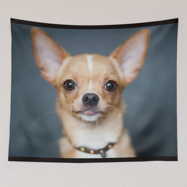 Item preview, Chihuahua Dog pets dogs designed and sold by Coolstuff4you71.