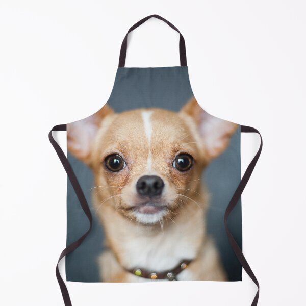 Item preview, Chihuahua Dog pets dogs designed and sold by Coolstuff4you71.