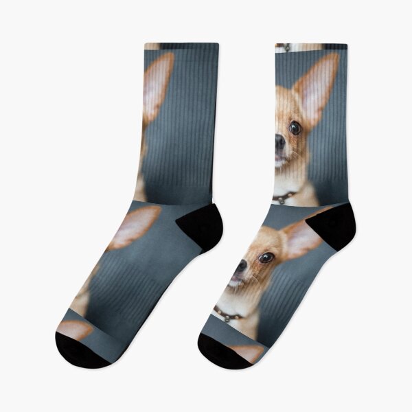 Item preview, Chihuahua Dog pets dogs designed and sold by Coolstuff4you71.