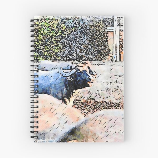 Item preview, Buffaloes in the stall designed and sold by Giuseppe Cocco.