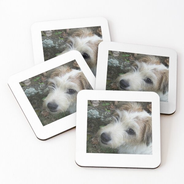 Item preview, Jack Russell Face designed and sold by ErinTr.