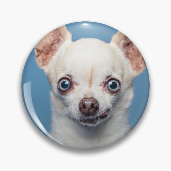 Item preview, Chihuahua Dog pets dogs cute full face designed and sold by Coolstuff4you71.