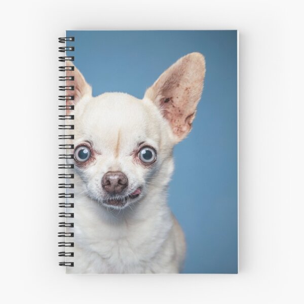 Item preview, Chihuahua Dog pets dogs cute full face designed and sold by Coolstuff4you71.
