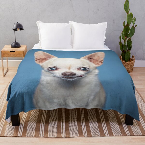 Item preview, Chihuahua Dog pets dogs cute full face designed and sold by Coolstuff4you71.