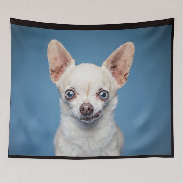 Item preview, Chihuahua Dog pets dogs cute full face designed and sold by Coolstuff4you71.