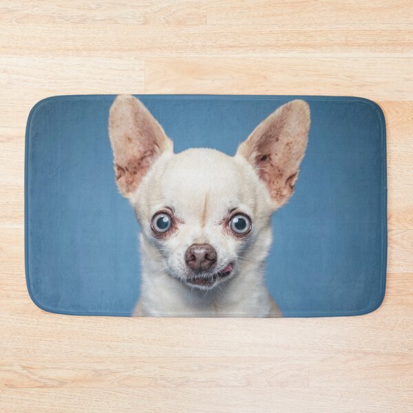 Item preview, Chihuahua Dog pets dogs cute full face designed and sold by Coolstuff4you71.