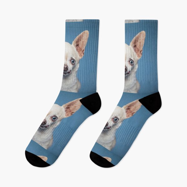 Item preview, Chihuahua Dog pets dogs cute full face designed and sold by Coolstuff4you71.