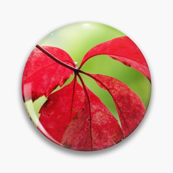 Item preview, Red autumn leaves   designed and sold by FlatLandPrints.