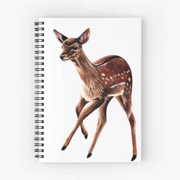 Item preview, Baby fallow deer fawn ink and watercolour painting designed and sold by LorenDowding.