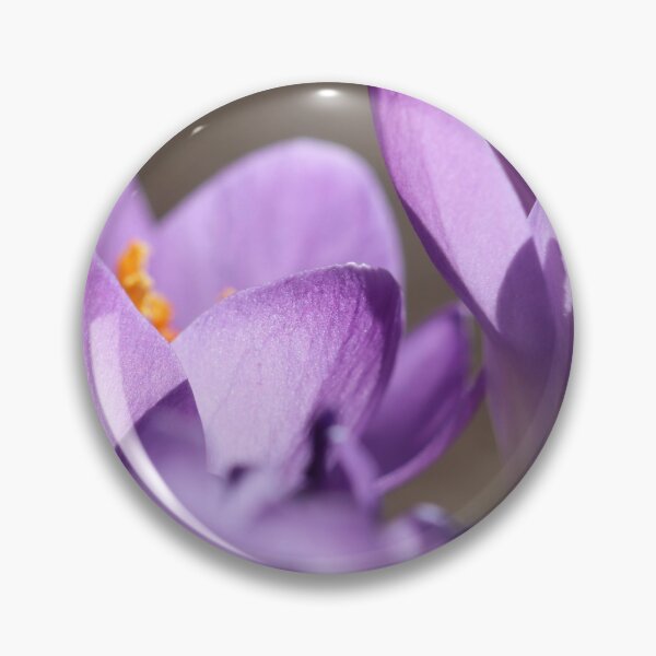 Item preview, Crocus morado en el sol designed and sold by TJFox.