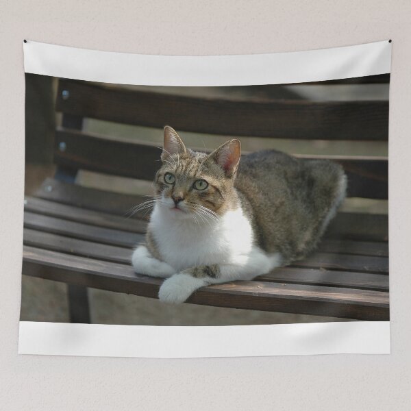 Item preview, Barny designed and sold by Nerone.