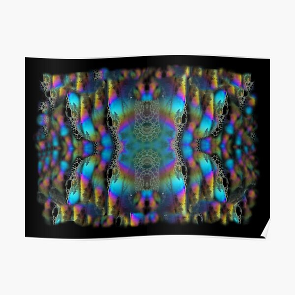 Window bubbles Poster