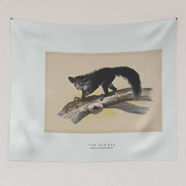 Item preview, Zoological sketches by Joseph Wolf 1861 to 1867 053 The Aye Aye designed and sold by WetdryvacRB01.
