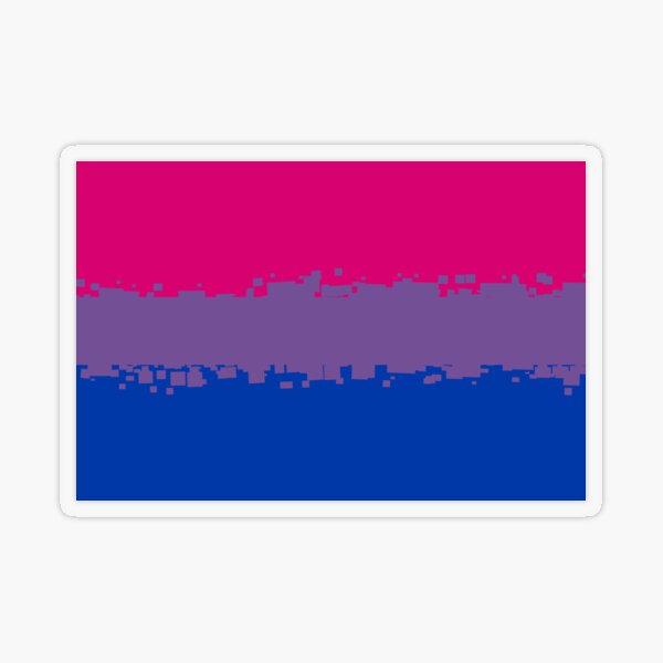  Bisexual Pride Flag Workout Sets for Women Sexy 2