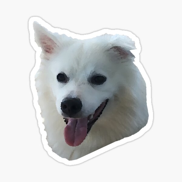 Item preview, Adorable American Eskimo Dog (Spitz)  designed and sold by Zen  Goat.