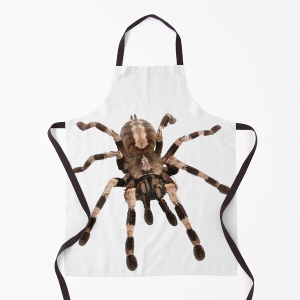 Item preview, little spider, tarantula, spider designed and sold by Viktoriia Trubiichuk.