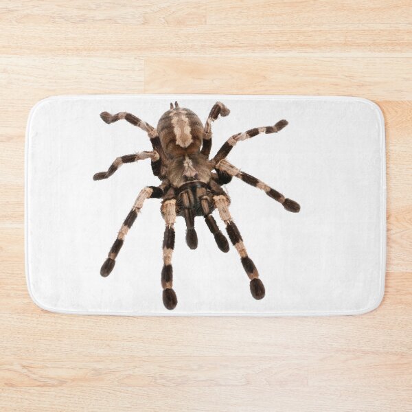 Artikelvorschau, kleine Spinne, Vogelspinne, Spinne entworfen und verkauft von Viktoriia Trubiichuk.