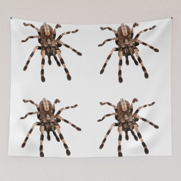 Item preview, little spider, tarantula, spider designed and sold by Viktoriia Trubiichuk.