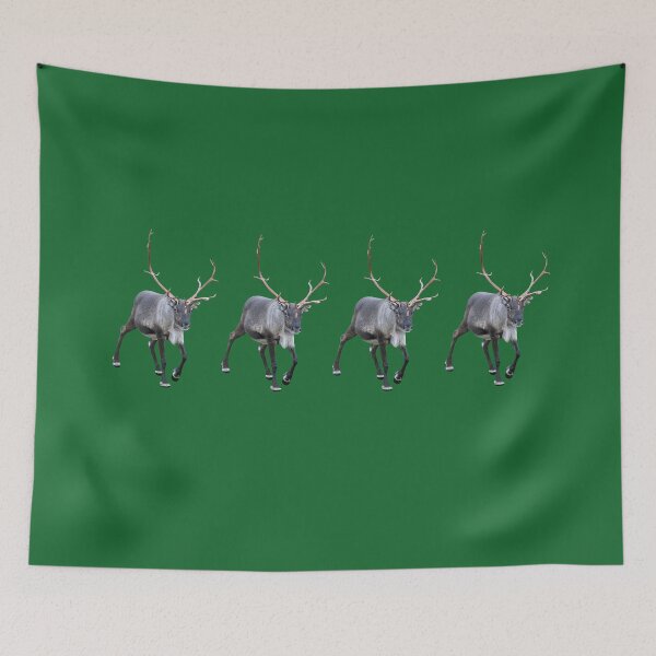 Item preview, Santa Claus Reindeer designed and sold by FotoJarmo.