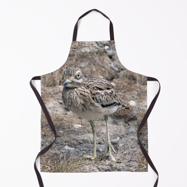 Item preview, r2469/ 23 parc-ornithologique-de-st-hilaire-la-palud - oedicnème criard - 2020 par Okaio Créations - Olavia&Olao designed and sold by o.okaïo.