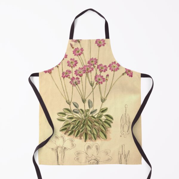 Item preview, Primula tibetica 145 8796 designed and sold by EsotericBotanic.