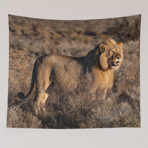Item preview, Majestic Lion in Grass Field  designed and sold by coolmerchplanet.