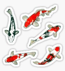 Le ballet des carpes koi Sticker