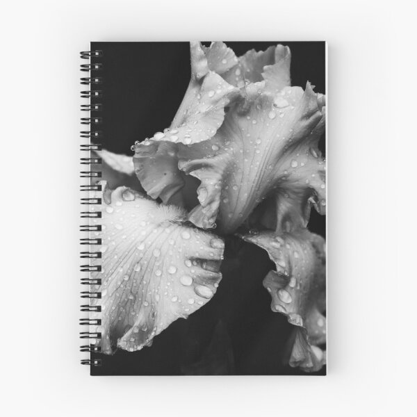 Item preview, Rain Kissed Iris In Black & White designed and sold by TJFox.