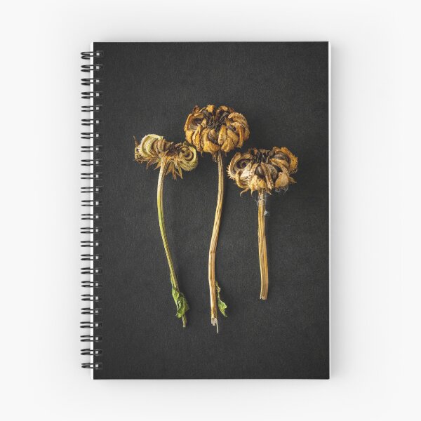 Item preview, Dried Marigold Flower Heads designed and sold by Richard Nixon.