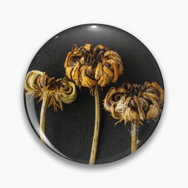 Item preview, Dried Marigold Flower Heads designed and sold by Richard Nixon.